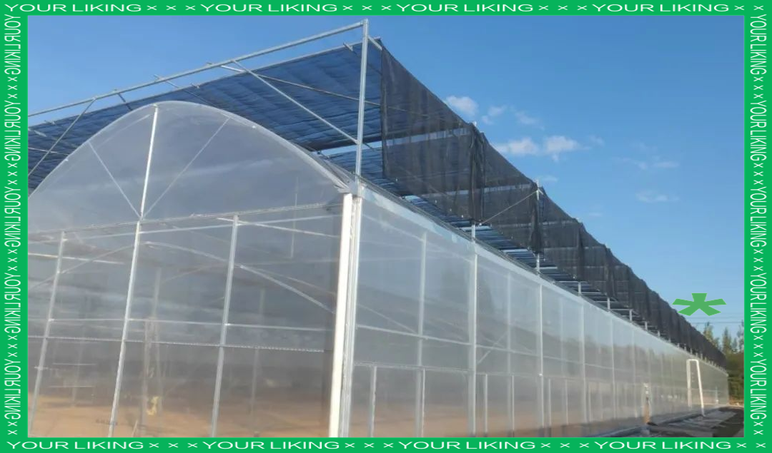 連棟薄膜溫室大棚項目火熱施工中，大棚薄膜技術(shù)助力現(xiàn)代農(nóng)業(yè)