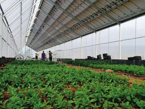 楚宏農業 專業打造昆明溫室大棚，助力高原特色農業發展